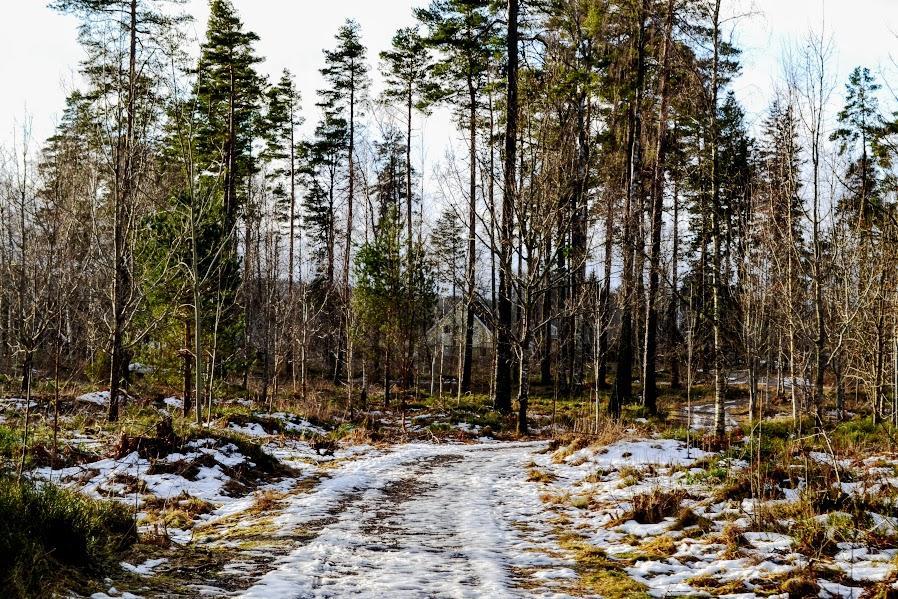 Marston Hill Guest House Mullsjö Екстериор снимка